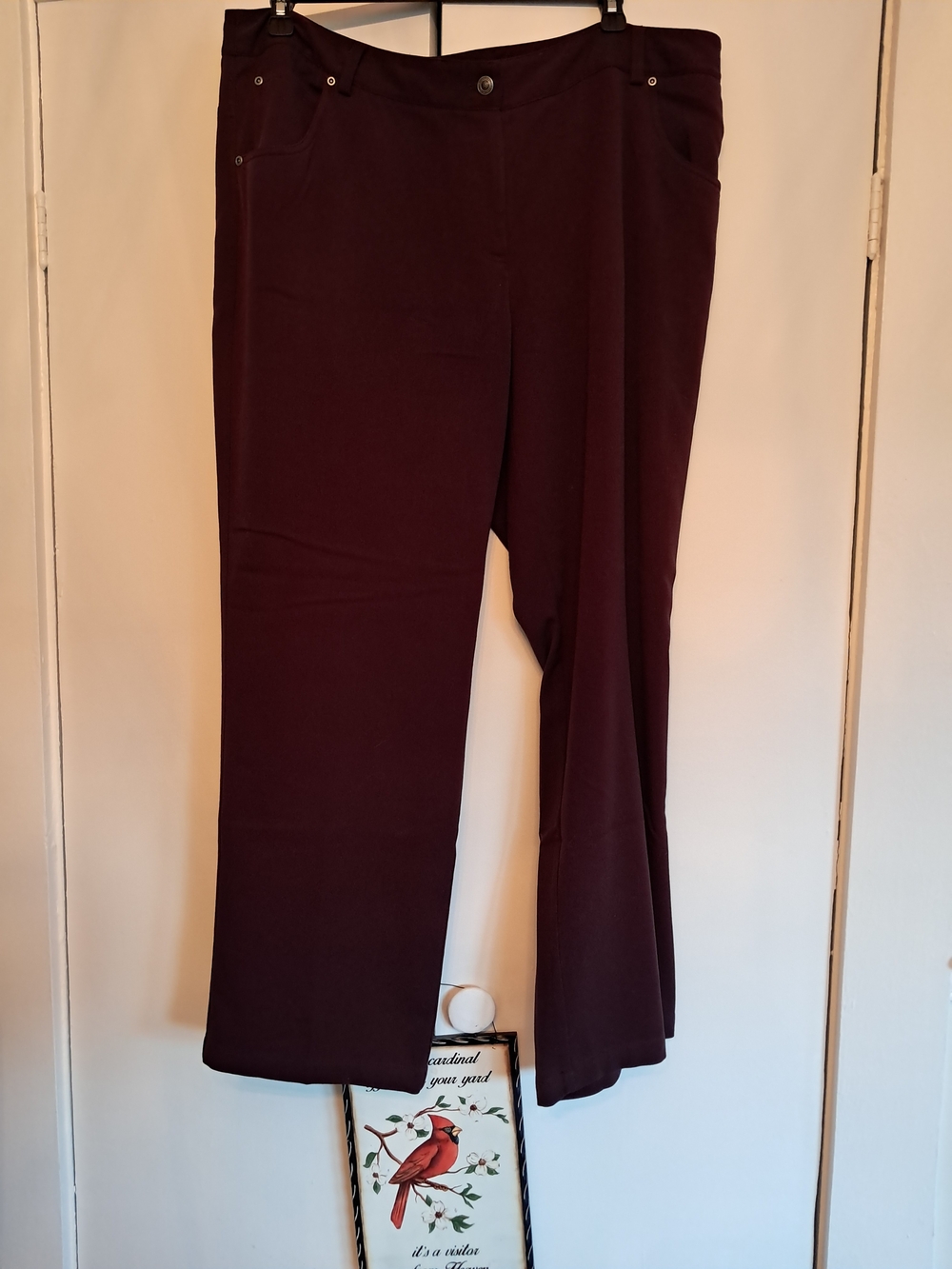 Rafaella Women's Plum Straight-Leg Pants